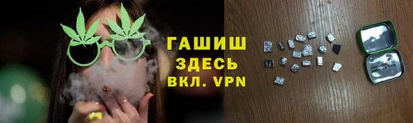 МДПВ Бородино