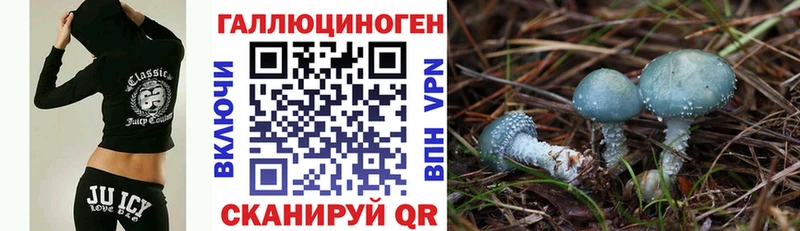 Галлюциногенные грибы прущие грибы  Ейск 